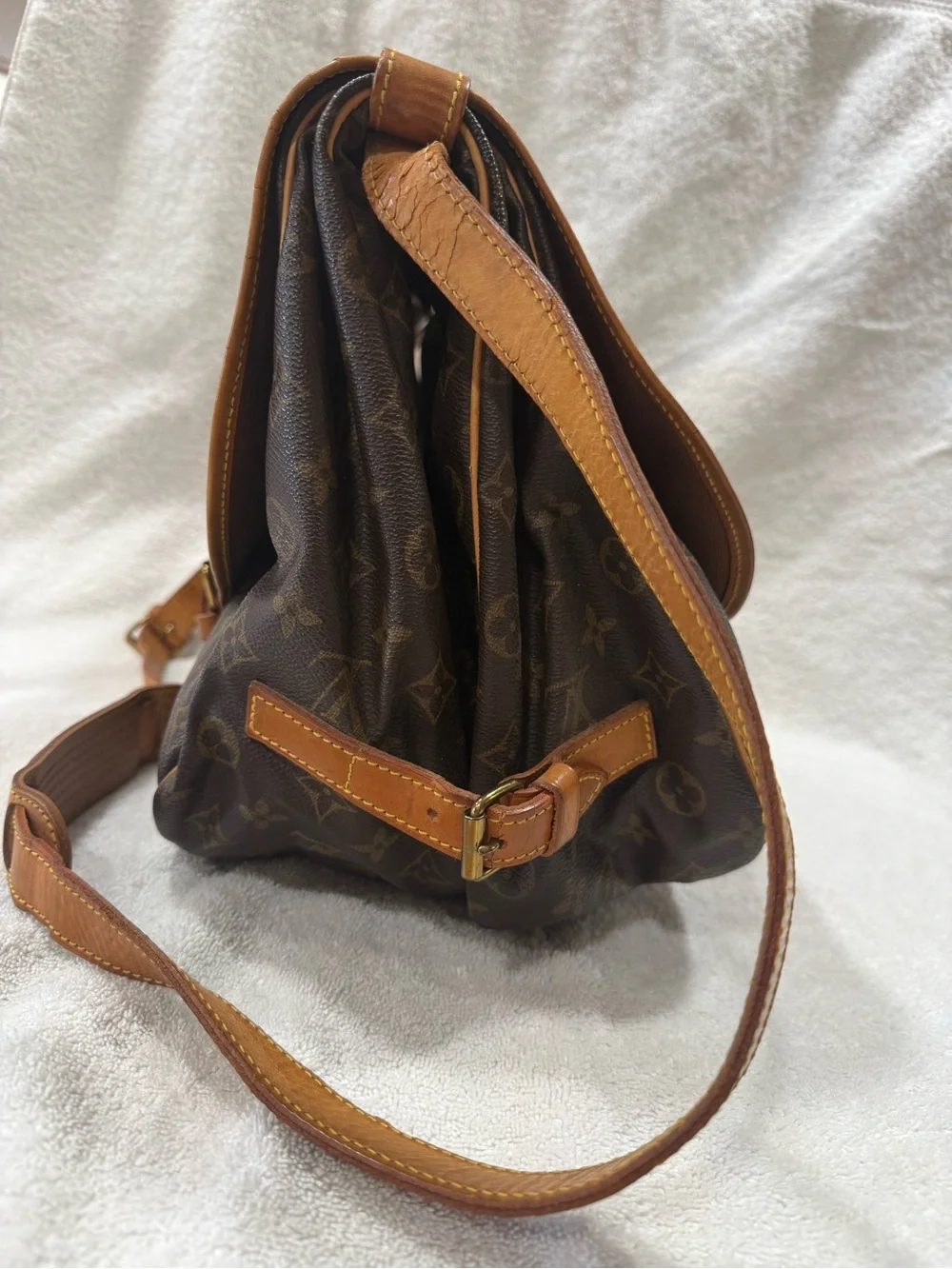 Louis Vuitton classic louis